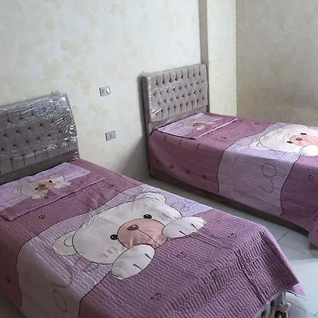 Nice Apartment-2