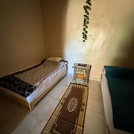 Zizo Fayed-3