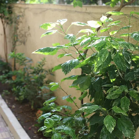Nasr City Villa-3