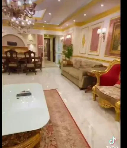 شقه فندقيه ملوكي تطل على النيل بالعجوزة El Cairo admite animales