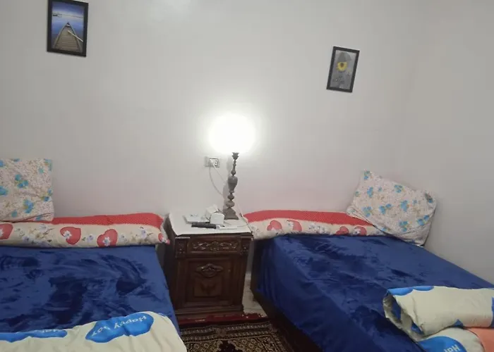 Egypt Guest House Inn Le Caire acceptant les animaux